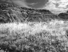 horse shoe canyon.jpg